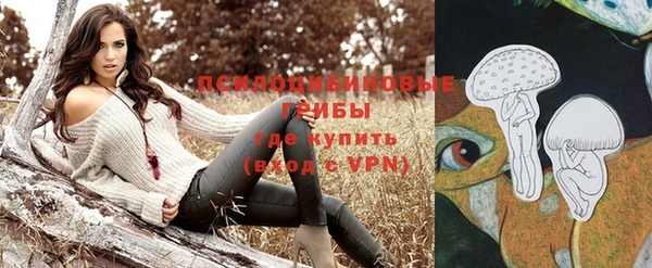 метадон Бородино