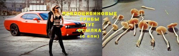 метадон Бородино