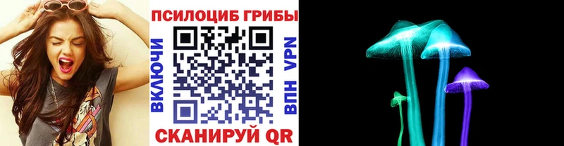 даркнет сайт  Выборг  Псилоцибиновые грибы Psilocybe 